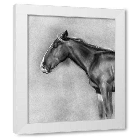 Charcoal Equine Portrait II White Modern Wood Framed Art Print by Caroline, Emma