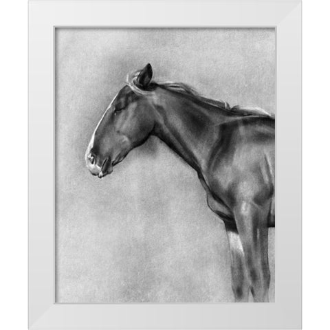 Charcoal Equine Portrait II White Modern Wood Framed Art Print by Caroline, Emma