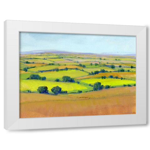 Patchwork Vista II White Modern Wood Framed Art Print by OToole, Tim