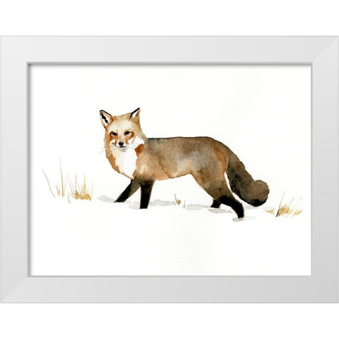 Winter Fox II White Modern Wood Framed Art Print by Barnes, Victoria