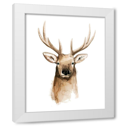 Watercolor Elk Portrait II White Modern Wood Framed Art Print by Popp, Grace