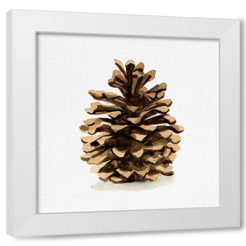 Conifer Cone I White Modern Wood Framed Art Print by Caroline, Emma