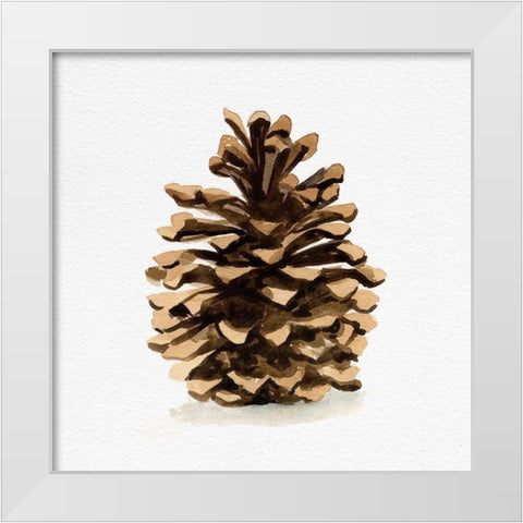 Conifer Cone I White Modern Wood Framed Art Print by Caroline, Emma