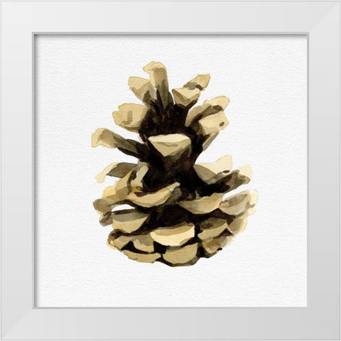 Conifer Cone III White Modern Wood Framed Art Print by Caroline, Emma
