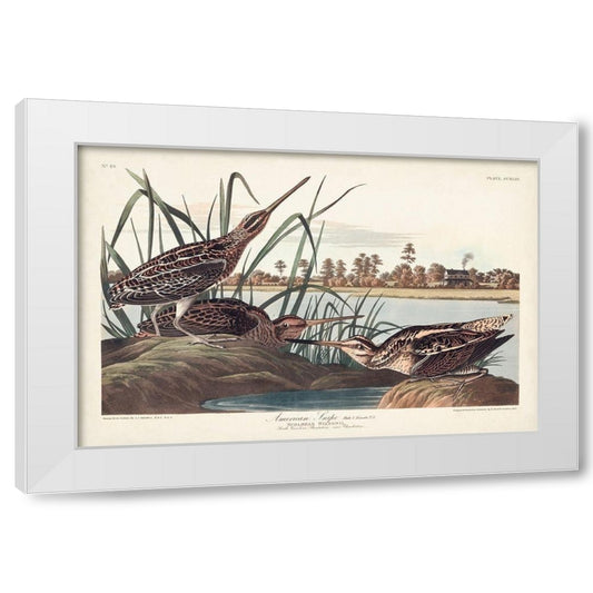 Perspective Image