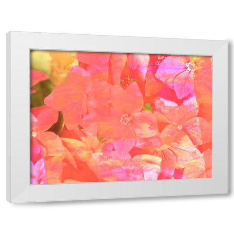 Joyful Summer II White Modern Wood Framed Art Print by Bane, Eva