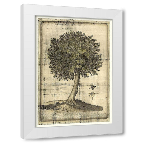 Fruitful Realm I White Modern Wood Framed Art Print by Vision Studio