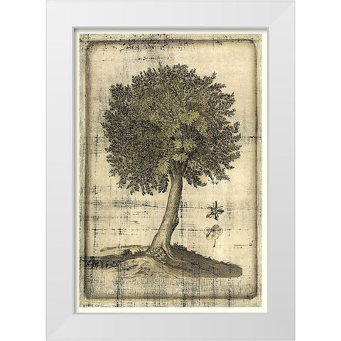 Fruitful Realm I White Modern Wood Framed Art Print by Vision Studio