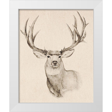Natural Buck II White Modern Wood Framed Art Print by Warren, Annie