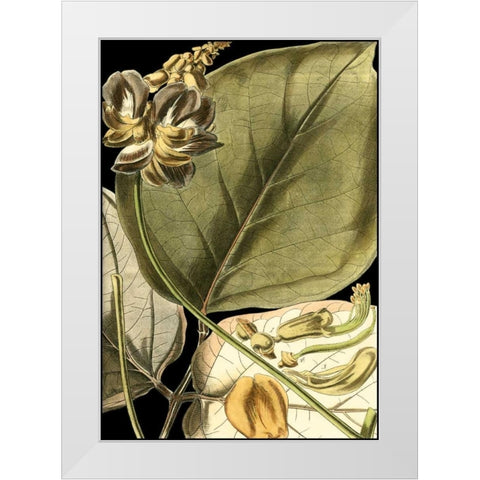 Tranquil Tropical Leaves I White Modern Wood Framed Art Print by Vision Studio