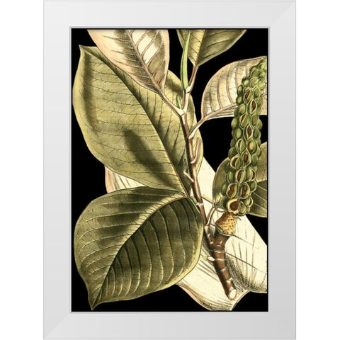 Tranquil Tropical Leaves II White Modern Wood Framed Art Print by Vision Studio