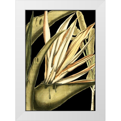 Tranquil Tropical Leaves III White Modern Wood Framed Art Print by Vision Studio