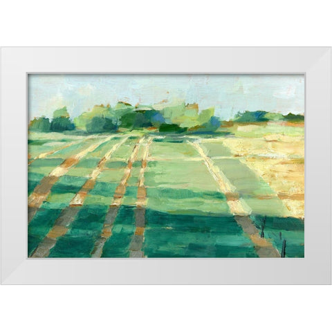 Mid Summer Shadows I White Modern Wood Framed Art Print by Harper, Ethan