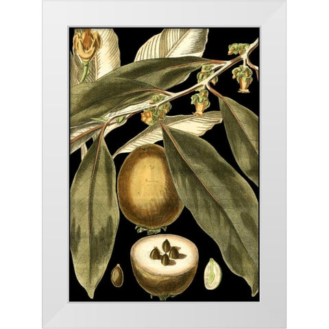 Tranquil Tropical Leaves IV White Modern Wood Framed Art Print by Vision Studio