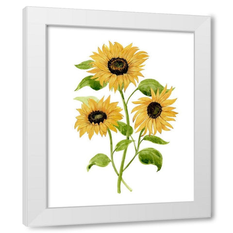 Sunflower Trio I White Modern Wood Framed Art Print by Warren, Annie