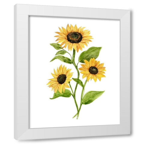 Sunflower Trio II White Modern Wood Framed Art Print by Warren, Annie