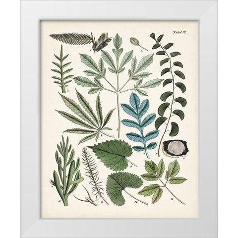 Fanciful Ferns VII White Modern Wood Framed Art Print by Unknown