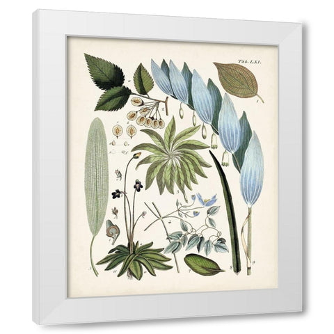 Fanciful Ferns IX White Modern Wood Framed Art Print by Unknown