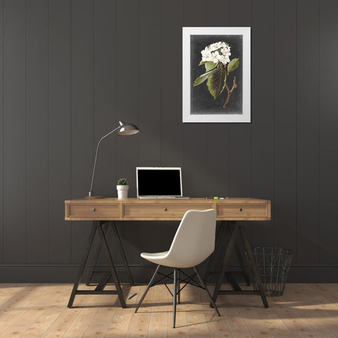 Dramatic White Flowers I White Modern Wood Framed Art Print by Vision Studio