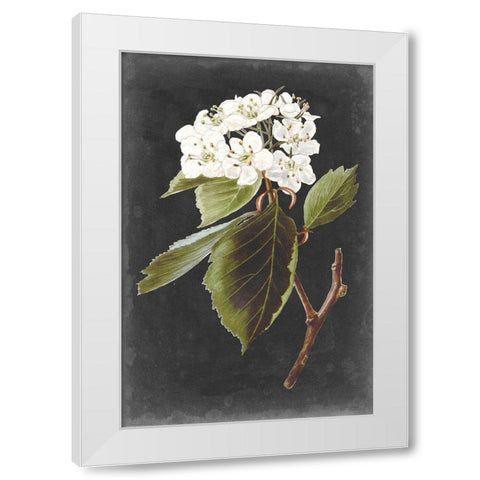 Dramatic White Flowers I White Modern Wood Framed Art Print by Vision Studio