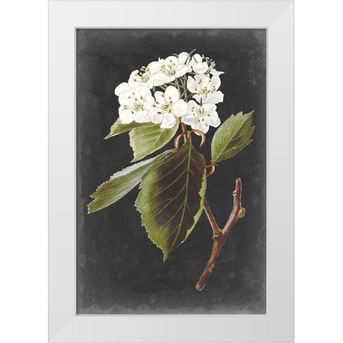 Dramatic White Flowers I White Modern Wood Framed Art Print by Vision Studio