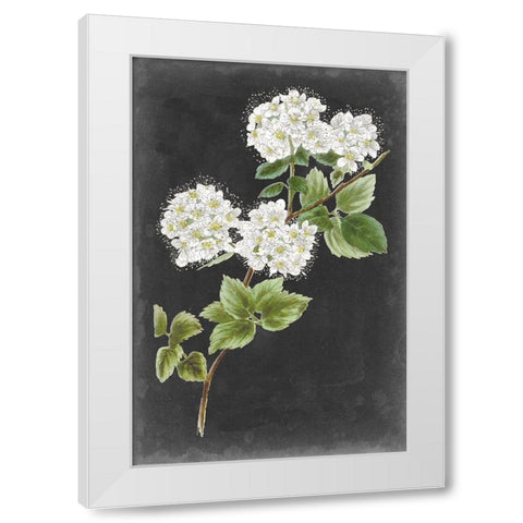 Dramatic White Flowers II White Modern Wood Framed Art Print by Vision Studio