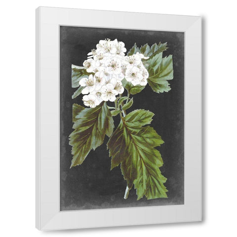 Dramatic White Flowers IV White Modern Wood Framed Art Print by Vision Studio