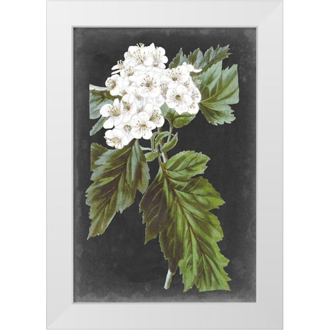 Dramatic White Flowers IV White Modern Wood Framed Art Print by Vision Studio