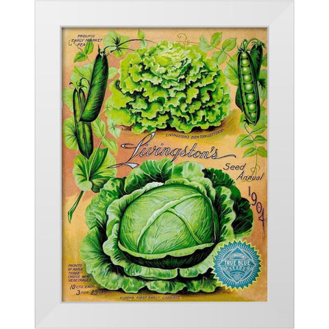 Antique Seed Packets XII White Modern Wood Framed Art Print by Unknown