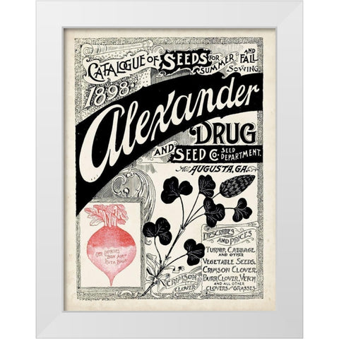 Antique Seed Packets XIV White Modern Wood Framed Art Print by Unknown