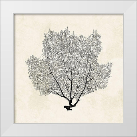 Sea Fan Sketch I White Modern Wood Framed Art Print by Popp, Grace