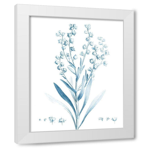 Antique Botanical in Blue I White Modern Wood Framed Art Print by Vision Studio