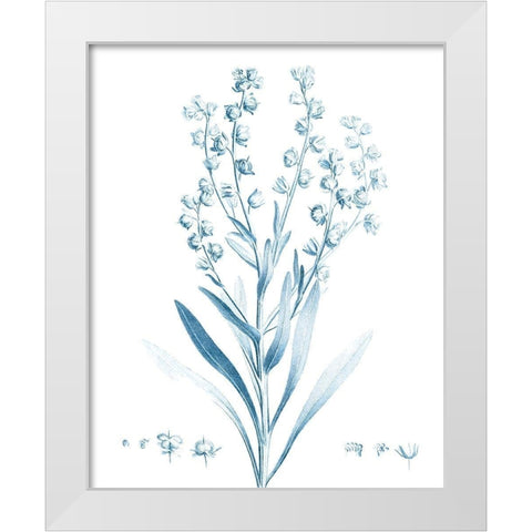 Antique Botanical in Blue I White Modern Wood Framed Art Print by Vision Studio