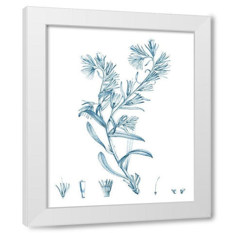 Antique Botanical in Blue II White Modern Wood Framed Art Print by Vision Studio