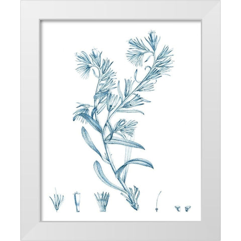 Antique Botanical in Blue II White Modern Wood Framed Art Print by Vision Studio