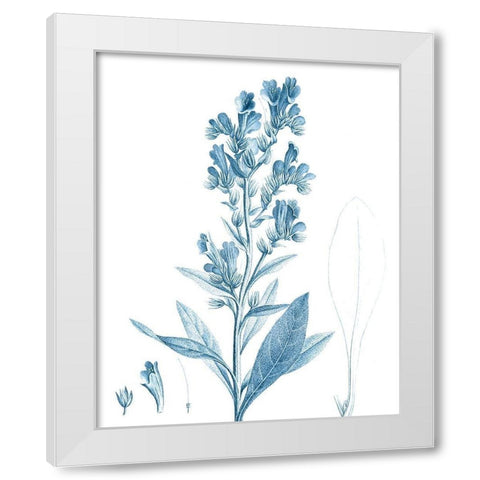 Antique Botanical in Blue III White Modern Wood Framed Art Print by Vision Studio