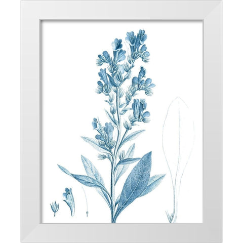 Antique Botanical in Blue III White Modern Wood Framed Art Print by Vision Studio