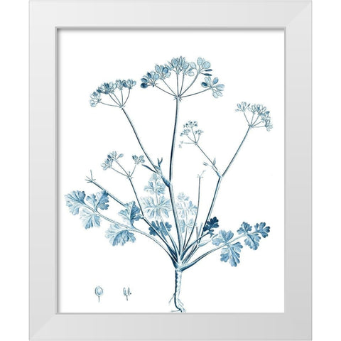 Antique Botanical in Blue IV White Modern Wood Framed Art Print by Vision Studio