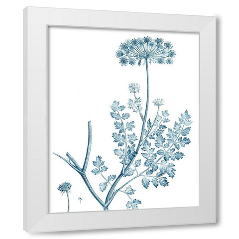 Antique Botanical in Blue V White Modern Wood Framed Art Print by Vision Studio