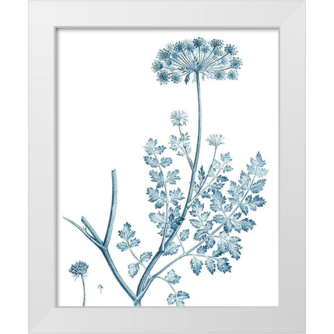 Antique Botanical in Blue V White Modern Wood Framed Art Print by Vision Studio