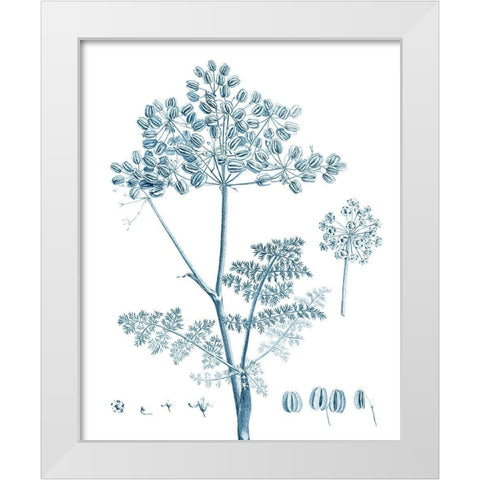 Antique Botanical in Blue VI White Modern Wood Framed Art Print by Vision Studio