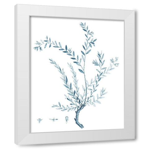 Antique Botanical in Blue VII White Modern Wood Framed Art Print by Vision Studio