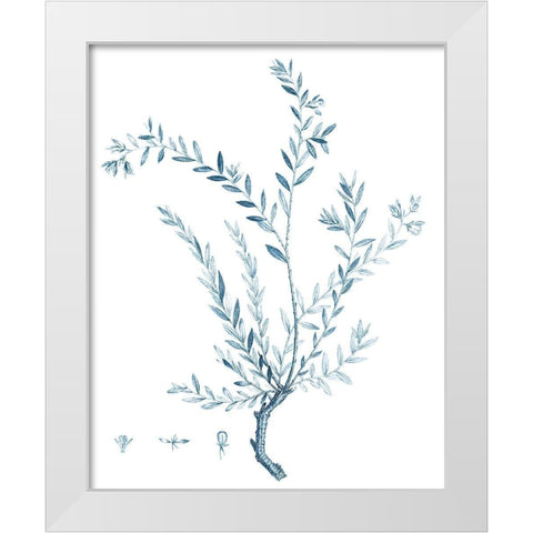 Antique Botanical in Blue VII White Modern Wood Framed Art Print by Vision Studio