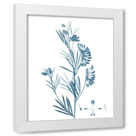 Antique Botanical in Blue IX White Modern Wood Framed Art Print by Vision Studio
