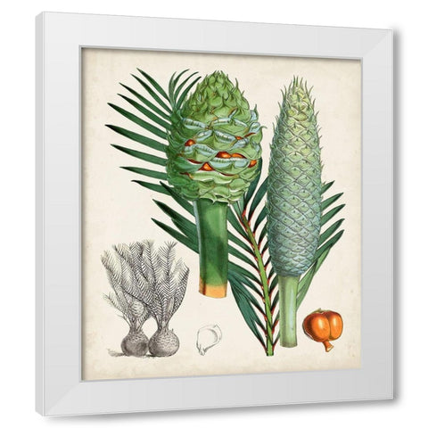 Sago Palms I White Modern Wood Framed Art Print by Curtis
