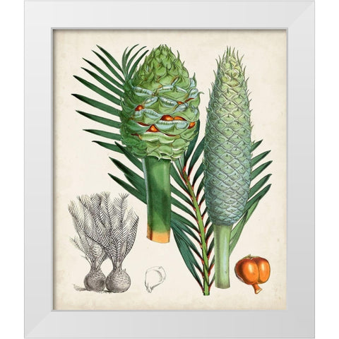 Sago Palms I White Modern Wood Framed Art Print by Curtis