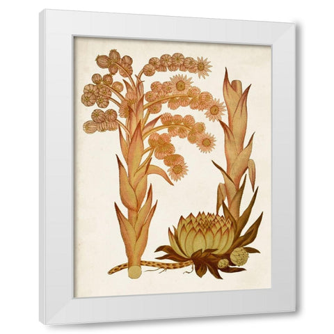 Muted Botanicals II White Modern Wood Framed Art Print by Curtis