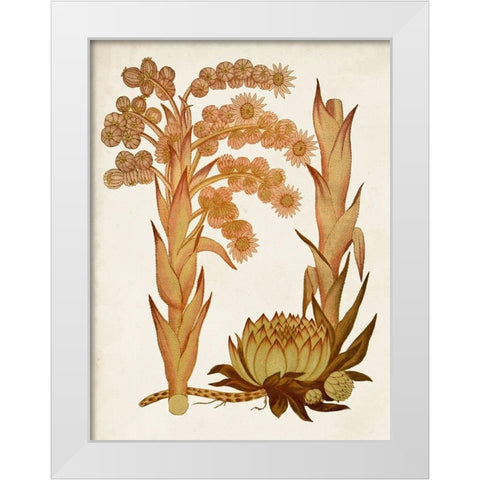 Muted Botanicals II White Modern Wood Framed Art Print by Curtis