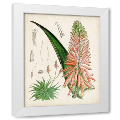 Delicate Tropicals I White Modern Wood Framed Art Print by Curtis