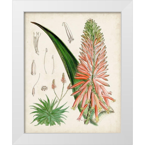 Delicate Tropicals I White Modern Wood Framed Art Print by Curtis